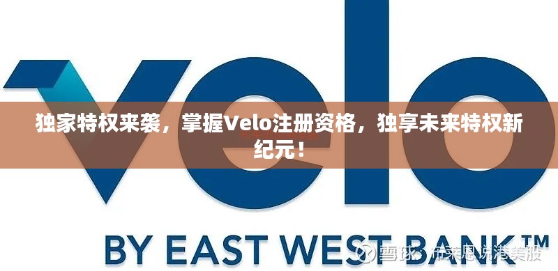 独家特权来袭,掌握Velo注册资格,独享未来特权新纪元!