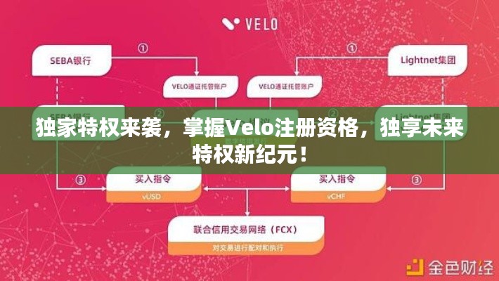 独家特权来袭，掌握Velo注册资格，独享未来特权新纪元！