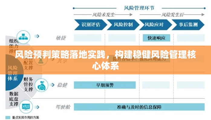 风险预判策略落地实践,构建稳健风险管理核心体系