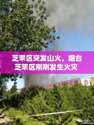 衣不完采 第7页