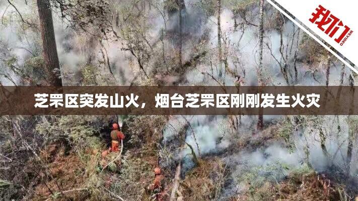 芝罘区突发山火,烟台芝罘区刚刚发生火灾