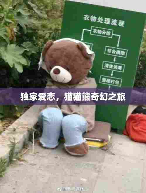 独家爱恋,猫猫熊奇幻之旅