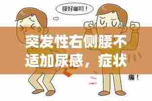 突发性右侧腰不适加尿感，症状解析与紧急健康警示！