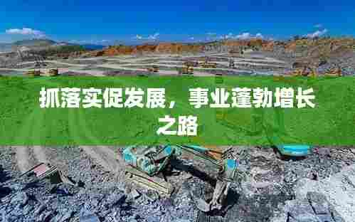 抓落实促发展，事业蓬勃增长之路