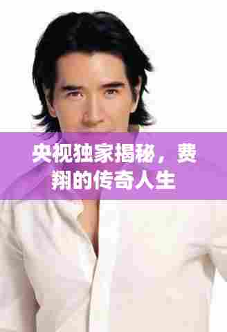 央视独家揭秘,费翔的传奇人生