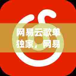 网易云歌单独家，网易云dancin 