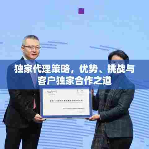 独家代理策略,优势、挑战与客户独家合作之道