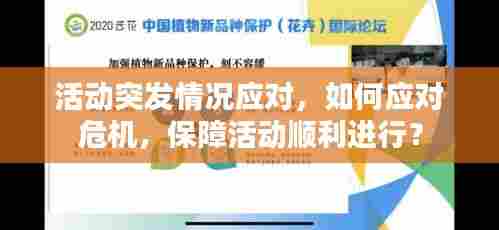 活动突发情况应对,如何应对危机,保障活动顺利进行?