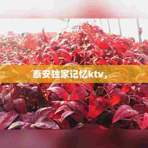 泰安独家记忆ktv， 