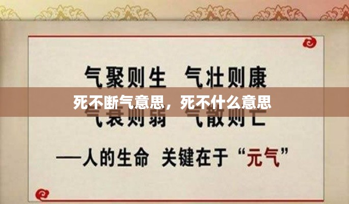 死不断气意思,死不什么意思