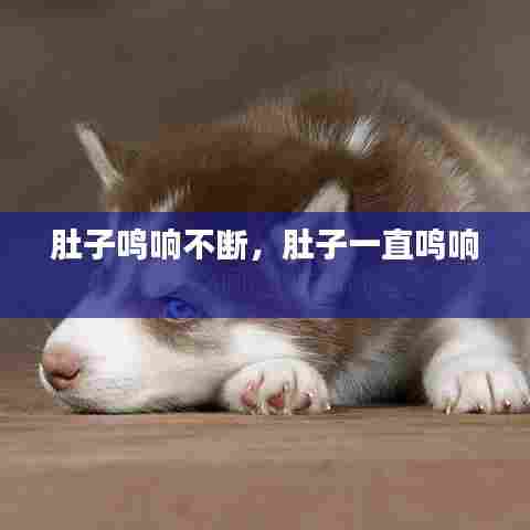 肚子鸣响不断，肚子一直鸣响 