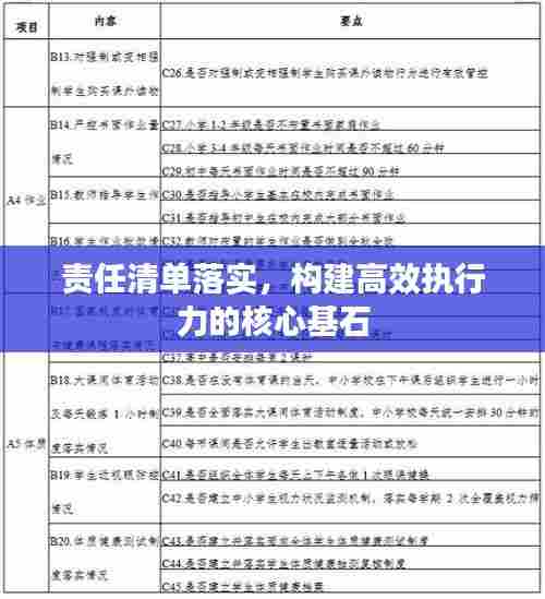 责任清单落实,构建高效执行力的核心基石