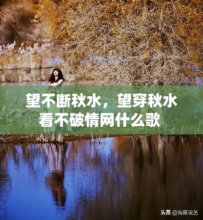 望不断秋水，望穿秋水看不破情网什么歌 