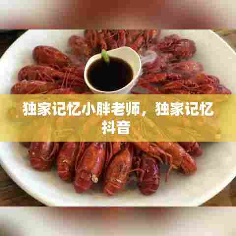 独家记忆小胖老师，独家记忆抖音 