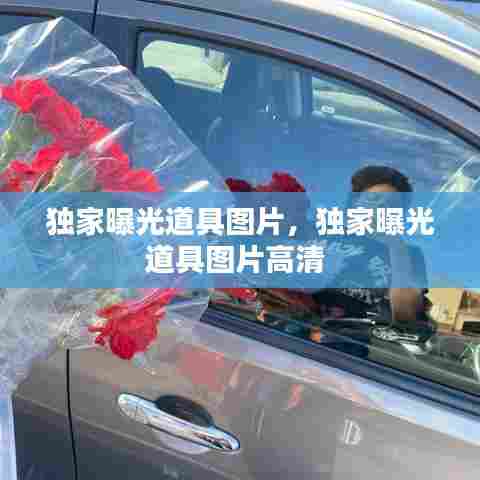 独家曝光道具图片,独家曝光道具图片高清