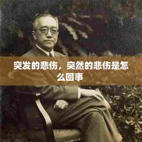 突发的悲伤,突然的悲伤是怎么回事