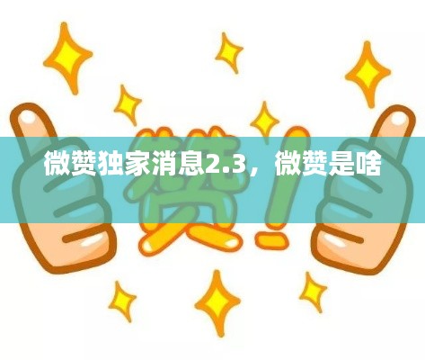 微赞独家消息2.3,微赞是啥