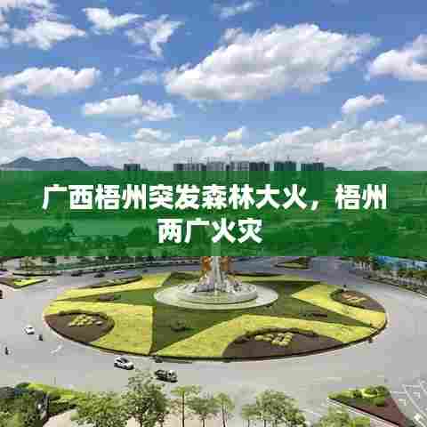 广西梧州突发森林大火，梧州两广火灾 