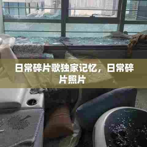 日常碎片歌独家记忆，日常碎片照片 