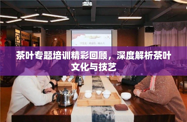 茶叶专题培训精彩回顾,深度解析茶叶文化与技艺