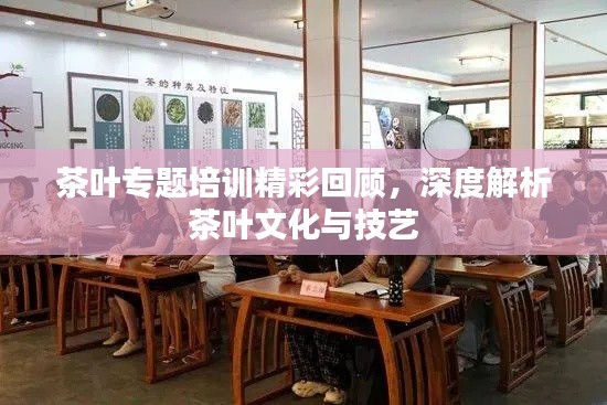 茶叶专题培训精彩回顾,深度解析茶叶文化与技艺