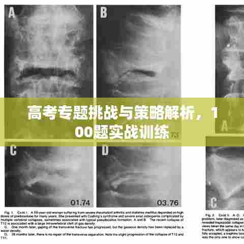 高考专题挑战与策略解析,100题实战训练