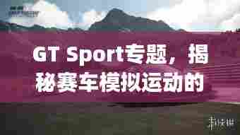GT Sport专题，揭秘赛车模拟运动的魅力与尖端技术