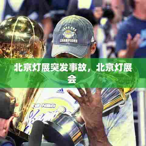 北京灯展突发事故,北京灯展会