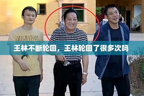 王林不断轮回，王林轮回了很多次吗 