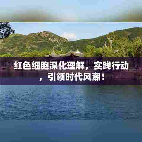 红色细胞深化理解,实践行动,引领时代风潮!