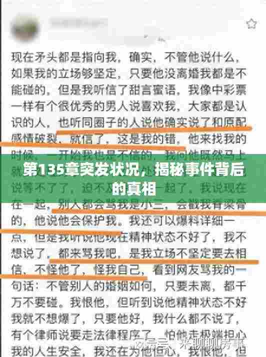 第135章突发状况，揭秘事件背后的真相