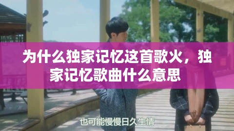 为什么独家记忆这首歌火，独家记忆歌曲什么意思 