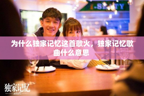 为什么独家记忆这首歌火,独家记忆歌曲什么意思