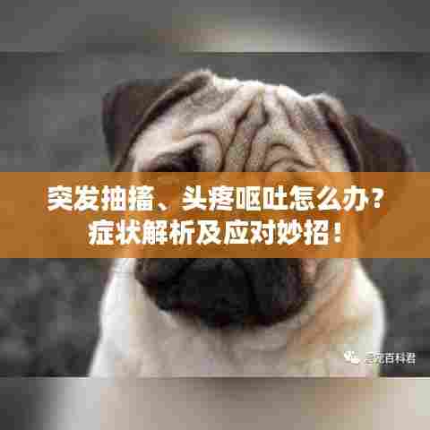 突发抽搐、头疼呕吐怎么办？症状解析及应对妙招！