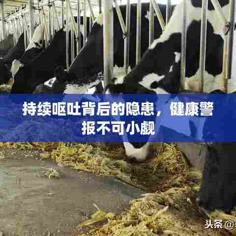 持续呕吐背后的隐患，健康警报不可小觑