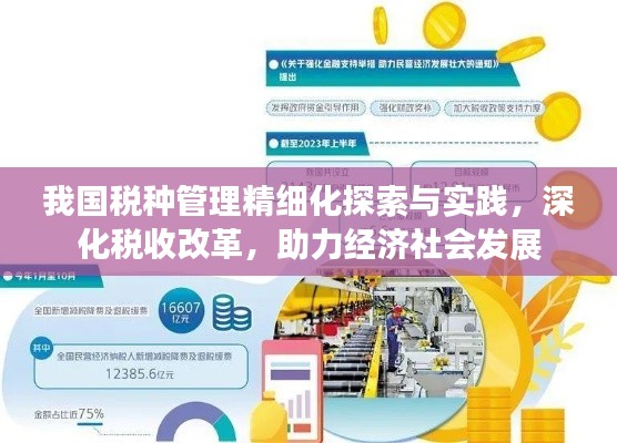 我国税种管理精细化探索与实践,深化税收改革,助力经济社会发展