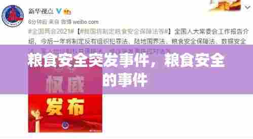 粮食安全突发事件,粮食安全的事件