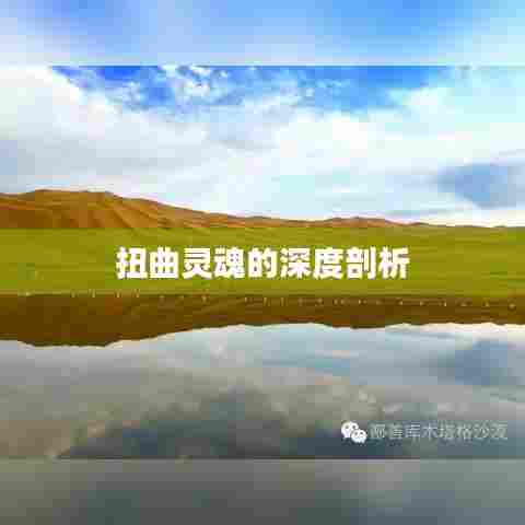 扭曲灵魂的深度剖析