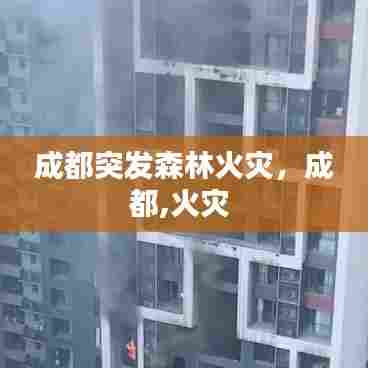 成都突发森林火灾,成都,火灾