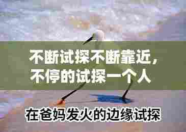 不断试探不断靠近，不停的试探一个人 