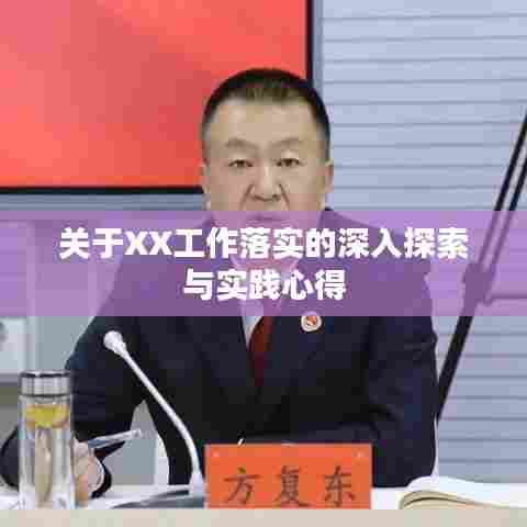 关于XX工作落实的深入探索与实践心得