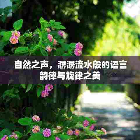 自然之声,潺潺流水般的语言韵律与旋律之美