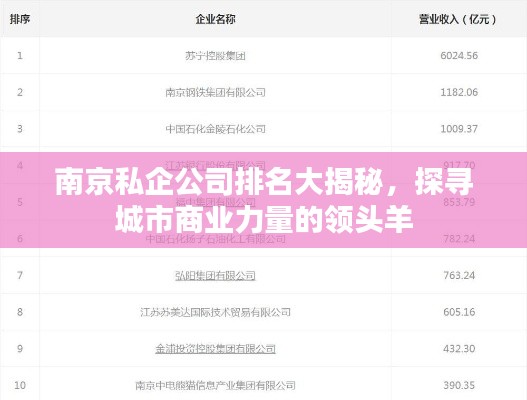 南京私企公司排名大揭秘，探寻城市商业力量的领头羊