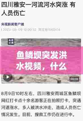 鱼鳞坝突发洪水视频,什么办法让油漆干的快