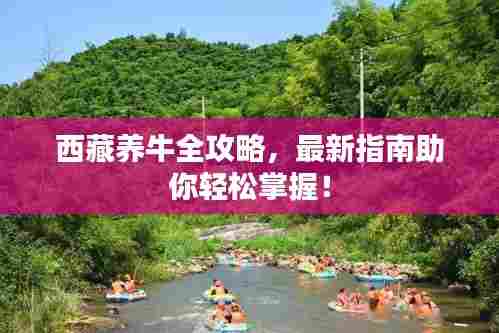 西藏养牛全攻略,最新指南助你轻松掌握!