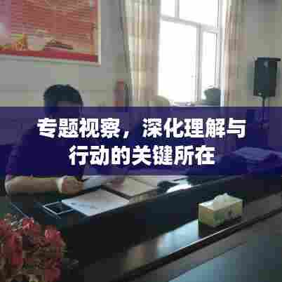 专题视察，深化理解与行动的关键所在