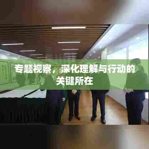 专题视察,深化理解与行动的关键所在