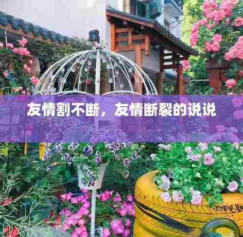 友情割不断,友情断裂的说说