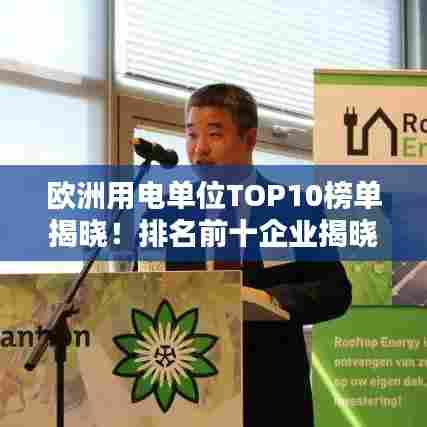 欧洲用电单位TOP10榜单揭晓！排名前十企业揭晓