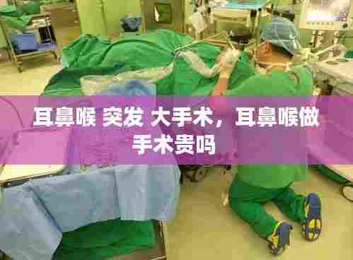 耳鼻喉 突发 大手术,耳鼻喉做手术贵吗